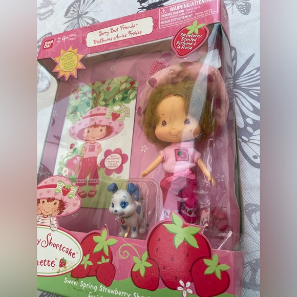 Strawberry Shortcake Sweet Spring Bandai Doll - Berry Best Friends - Picture 9 of 13